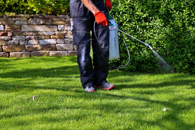 Crabgrass Removal in Rockwall, TX