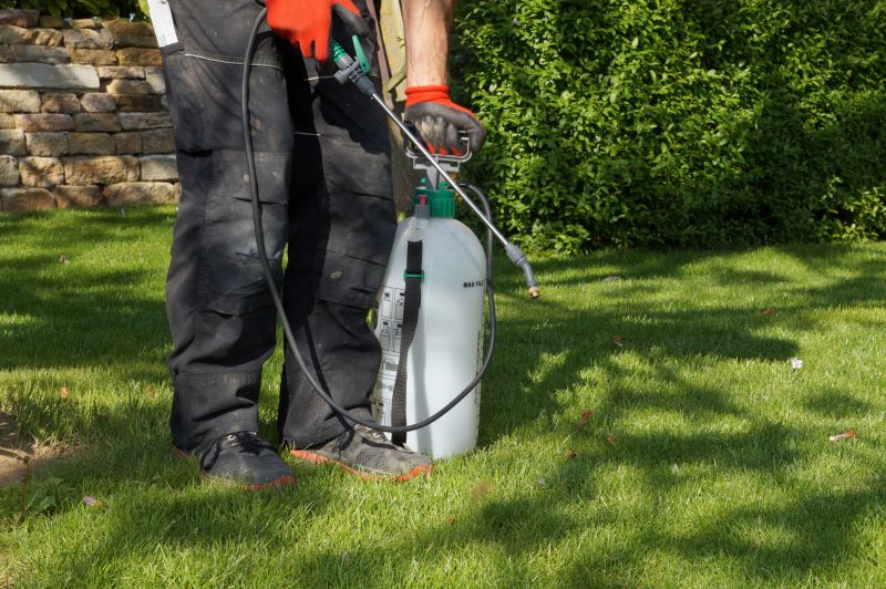Crabgrass Removal in Ventura County, CA