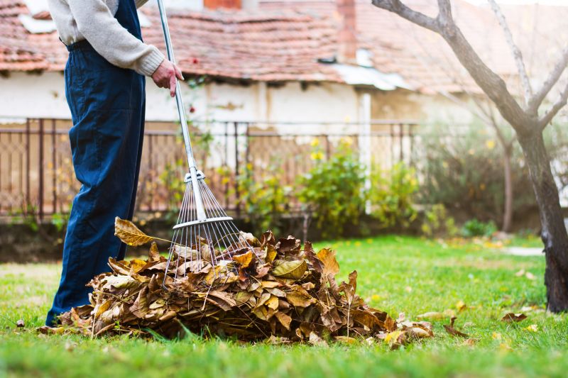 Mulched Leaves on Grass