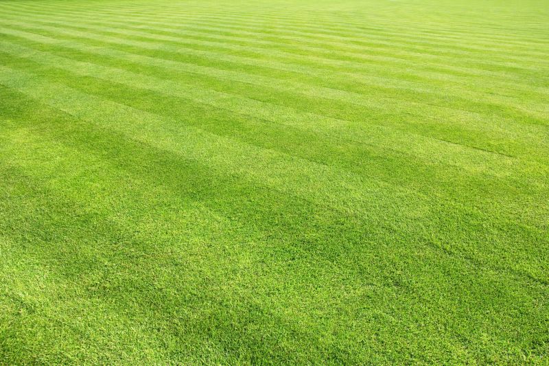 Vibrant Green Turf