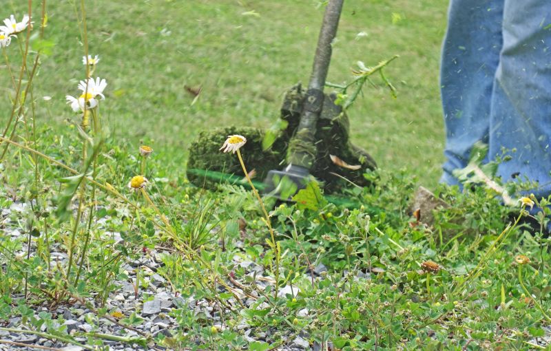 Year-Round Maintenance