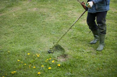 Efficient Weed Removal