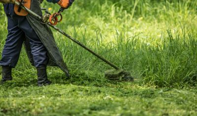 Safe Removal of Weeds