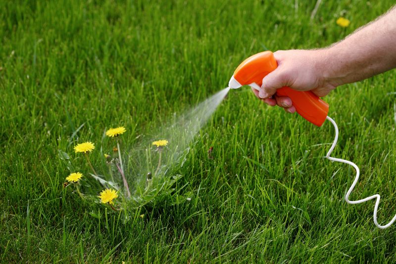 Lawn Weed Control in Ventura County, CA